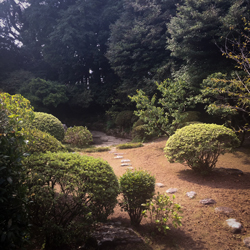 高牟礼荘の庭